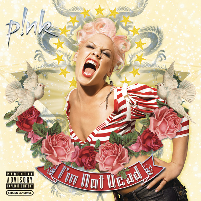 Stupid Girls - P!nk