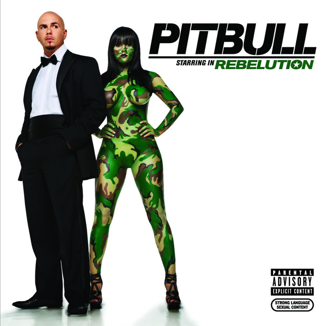 I Know You Want Me - Pitbull