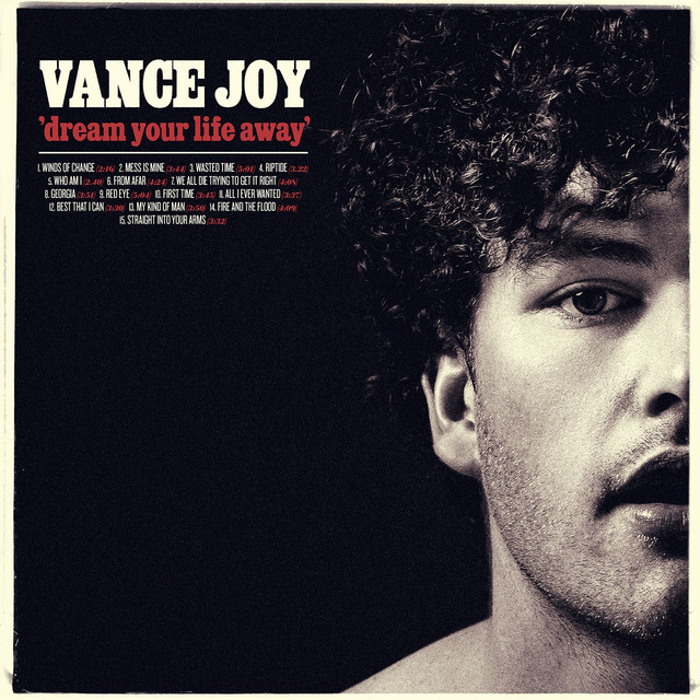 Mess Is Mine - Vance Joy